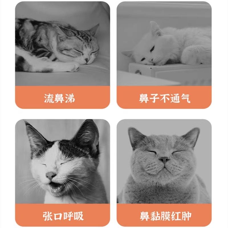 博莱得利怡必通滴鼻液猫咪鼻子不通气打喷嚏鼻粘膜受损红肿怡必通,淘宝优惠券,粉丝福利购,淘宝优惠卷