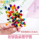 景翠缘 快乐 花原 干燥 小花 苞花 骨朵 艺术 DIY 干花 快乐 花 水晶滴胶 水晶滴胶 水晶滴胶