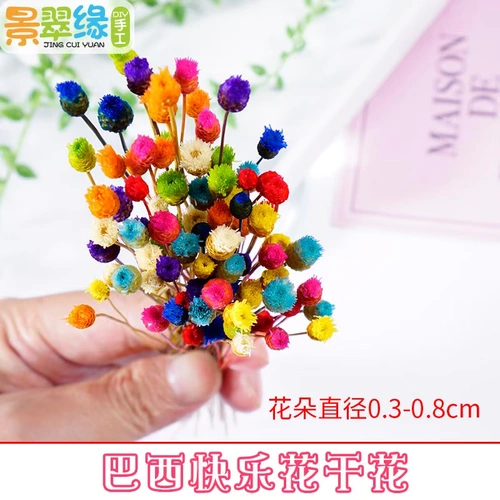 景翠缘 快乐 花原 干燥 小花 苞花 骨朵 艺术 DIY 干花 快乐 花 水晶滴胶 水晶滴胶 水晶滴胶