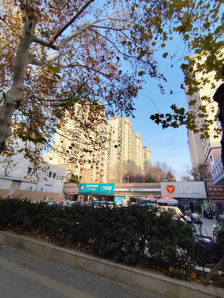山东省济南市历下区科院路4号4号楼3-502室房地产
