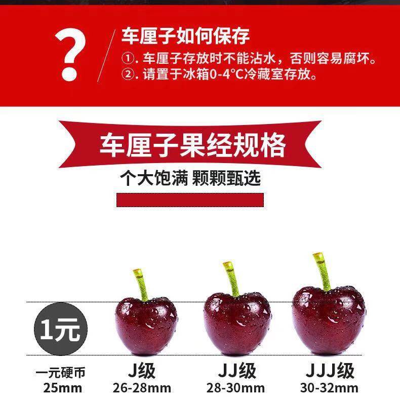  歌慕车厘子/樱桃