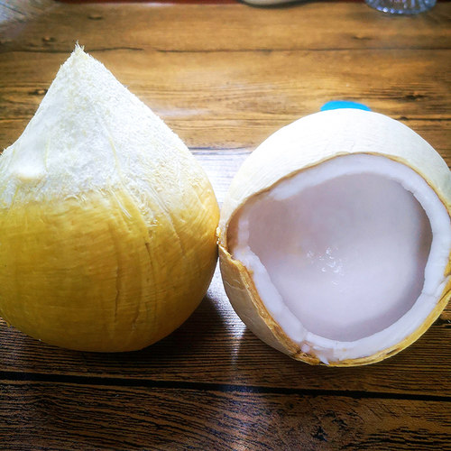 泰国进口牛奶椰皇椰子新鲜当季水果椰青老椰子汁肉椰奶烤椰包邮 - 图0