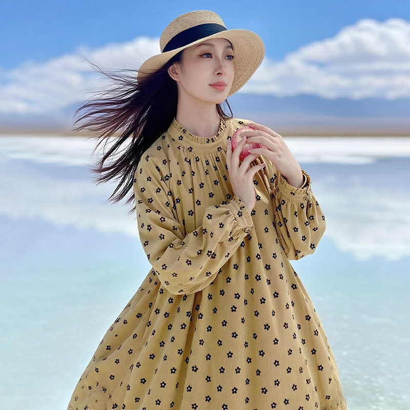 【雏菊漫旅】复古灯芯绒连衣裙宽松印花A字裙女秋季立领荷叶边裙 - 图2