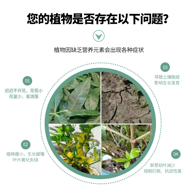 发财树专用肥料营养液家用有机肥料盆栽植物通用型生长坐果期瓜果 - 图0