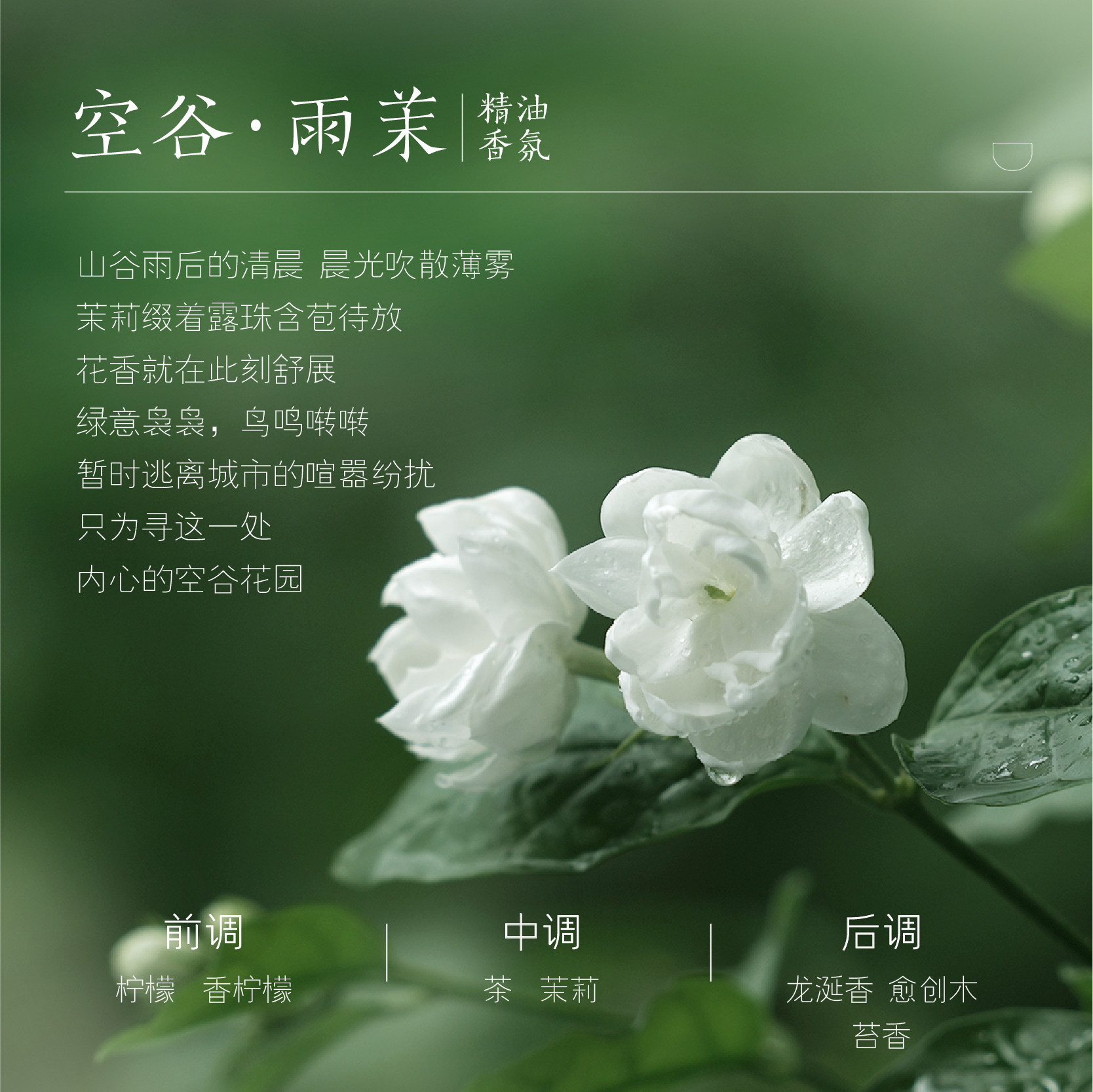 半亩花田精油修护香氛补水男身体乳 半亩花田颐美国度身体乳/霜