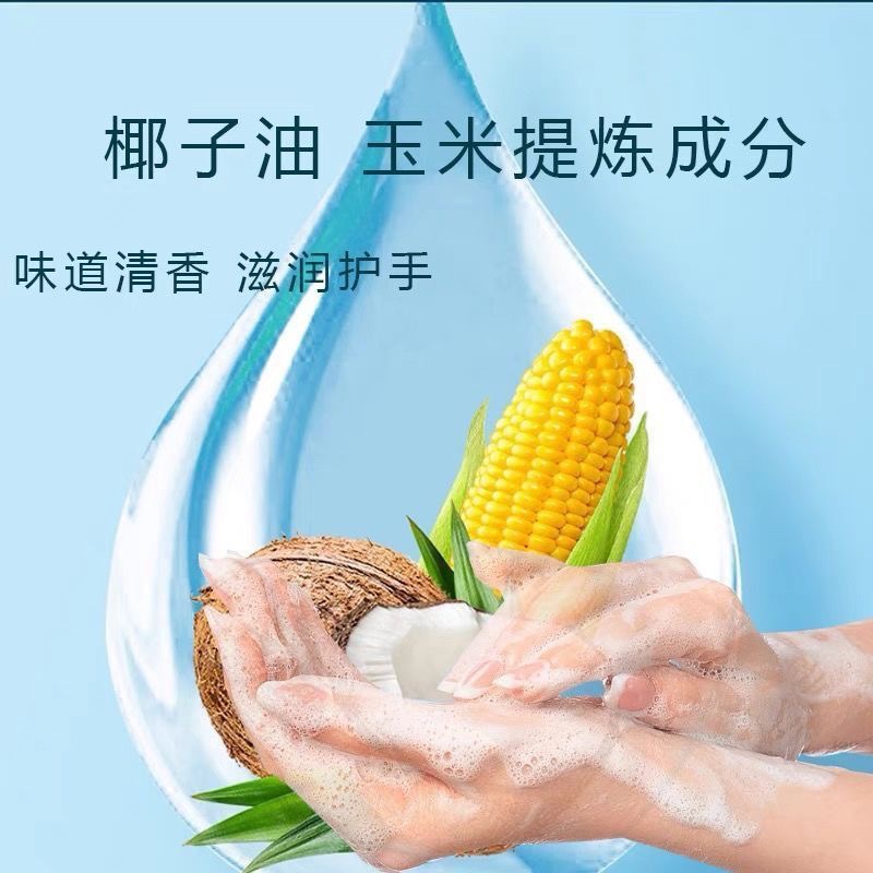 安利必速抗菌洗手液250ml专柜正品清洁杀菌滋润抑菌清洁双手 - 图2