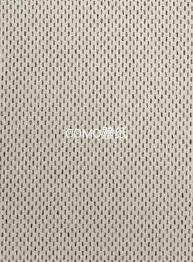 嘉佰丽Gabryl 高级感高精密全屋贴肌理感无缝壁布GBL5255 GBL5256