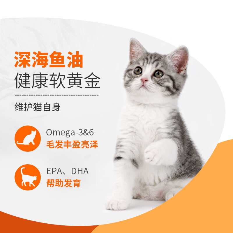 金装好主人无谷幼猫粮40g小包试吃装全猫通用奶猫粮英美短橘猫 - 图1