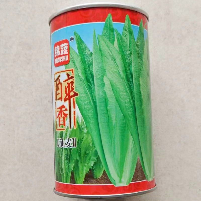 油麦菜种子四季香油麦菜籽青菜四川夏秋季耐寒耐热农家田园蔬菜孑,淘宝优惠券,粉丝福利购,淘宝优惠卷