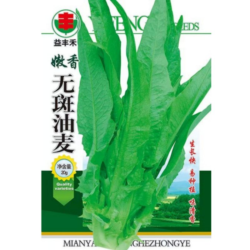 油麦菜种子四季香油麦菜籽青菜四川夏秋季耐寒耐热农家田园蔬菜孑,淘宝优惠券,粉丝福利购,淘宝优惠卷