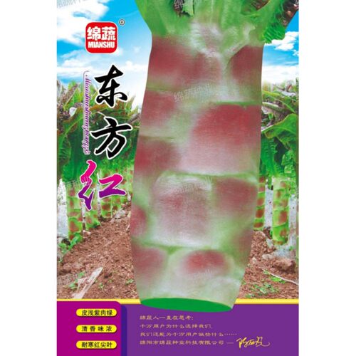 莴笋种子莴苣种籽耐热耐寒尖圆叶香窝笋种籽四川春夏季秋季蔬菜孑 - 图1