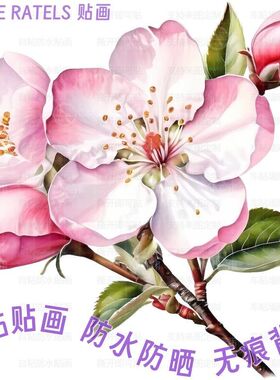 苹果花朵装饰墙上抠图纸艺手工贴