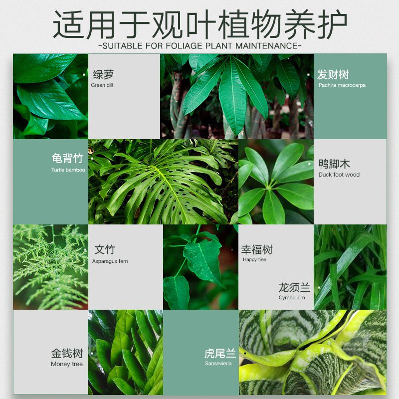 史丹利绿植营养液通用型肥料绿萝发财幸福树植物叶面肥观叶专用肥 - 图2