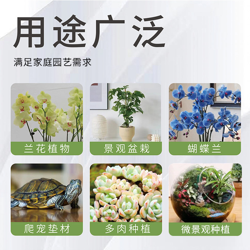 蝴蝶兰专用水苔干苔藓乌龟冬眠垫材天然石斛种植介质兰花栽培基质,淘宝优惠券,粉丝福利购,淘宝优惠卷