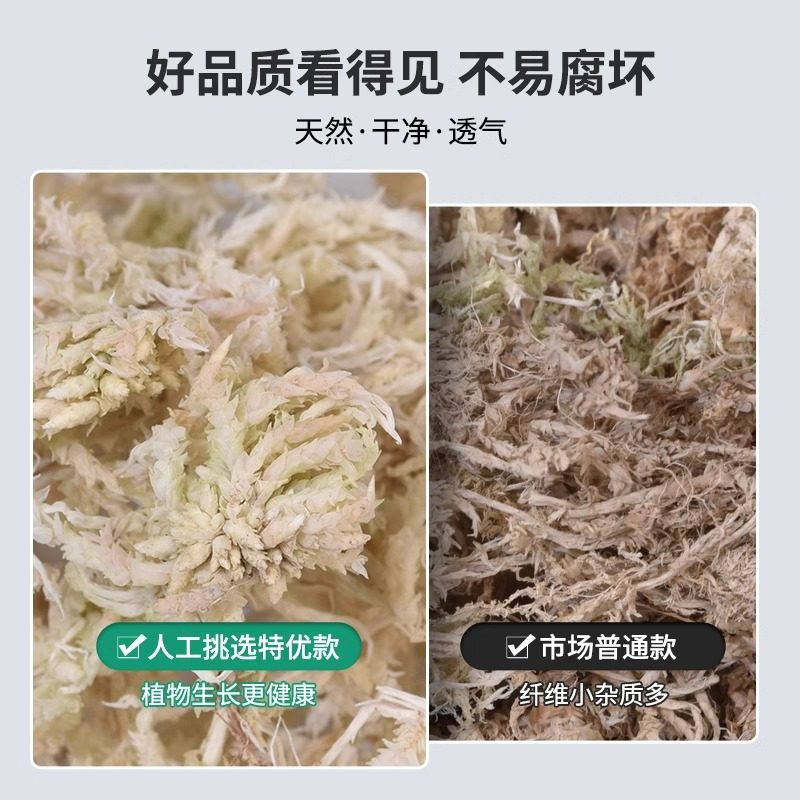 蝴蝶兰专用水苔干苔藓乌龟冬眠垫材天然石斛种植介质兰花栽培基质,淘宝优惠券,粉丝福利购,淘宝优惠卷