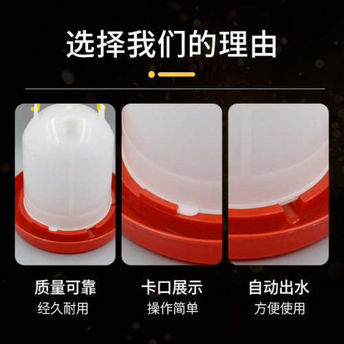 小鸡食槽喂鸡水神器自动下料喂食器防撒家用饲料桶喝水的饮水器壶 - 图3