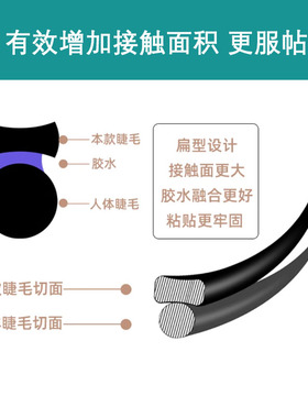 双尖扁毛单根空气睫毛
