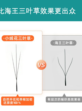 小绒花三叶草睫毛海王