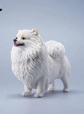 JXK 1/6 博美犬仿真高端模型狗可爱萌系宠物狗潮玩小道具手办摆件