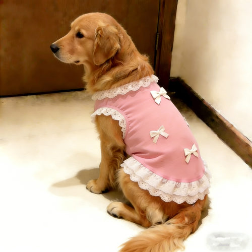 洋气金毛狗狗衣服中大型犬狗狗背心薄款夏季高颜值宠物衣服萨摩耶 - 图3