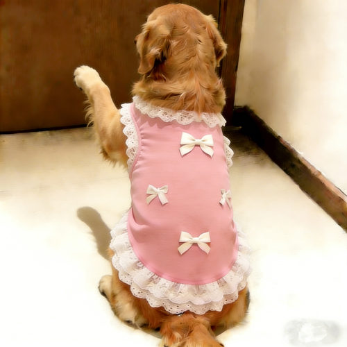 洋气金毛狗狗衣服中大型犬狗狗背心薄款夏季高颜值宠物衣服萨摩耶 - 图0