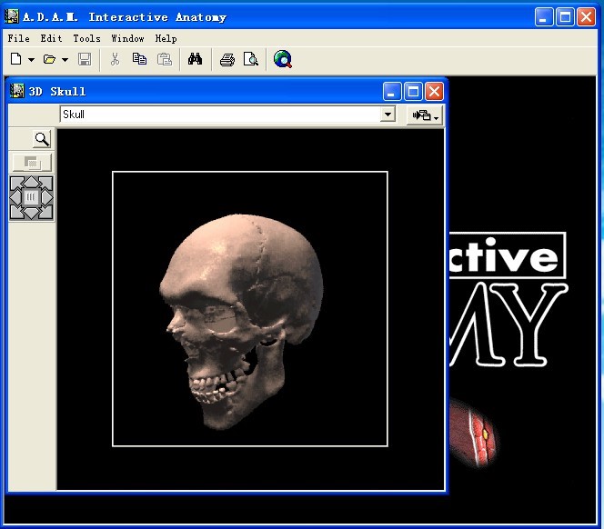 互动解剖学软件(支持macOS)A.D.A.M. Interactive Anatomy 3中医-图2
