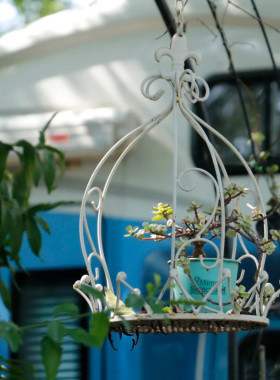 新款白色鸟笼装饰婚庆婚礼多肉花架挂饰绿植家居饰品阳台庭院铁艺