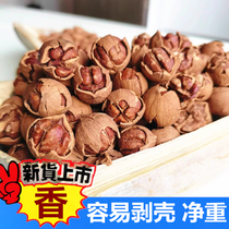 Nuclear you fragrant in 2023 New goods Linan wild special Good exfoliating small pecorino 500g hands peeled nuts for frying and snacking