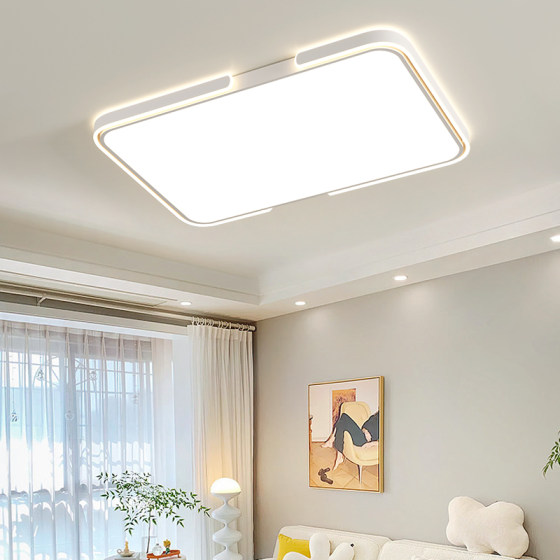 Modern minimalist Nordic living room dining room bedroom ceiling lamp