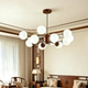 2026 New French Medieval Style Magic Bean Living Room Chandelier