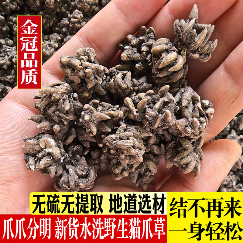 猫爪草野生中药材猫爪草的功效与作用夏枯草蒲公英散结茶正品水洗 - 图3