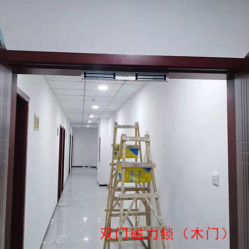 昕亿280KG双门明装延时信号反馈电磁锁磁力锁门禁专用磁力锁电吸 - 图1