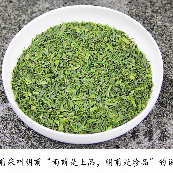 2024年新茶叶雀舌碎茶片明前碎片雀舌碎片绿茶散装茶农直销500g - 图0