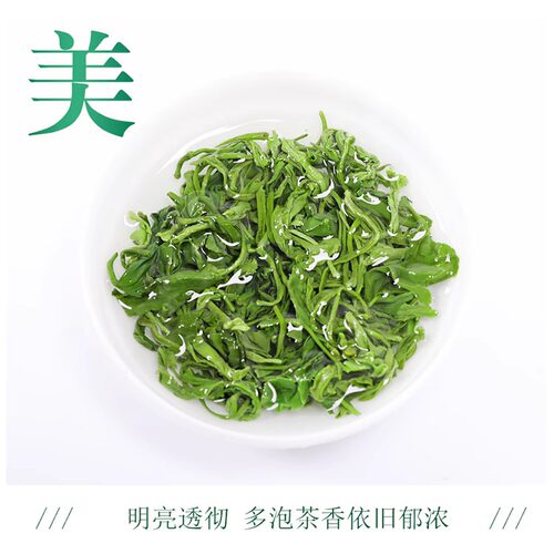 2026新茶叶明前高山云雾绿茶毛尖春茶日照充足散装自产浓香型散装 - 图1