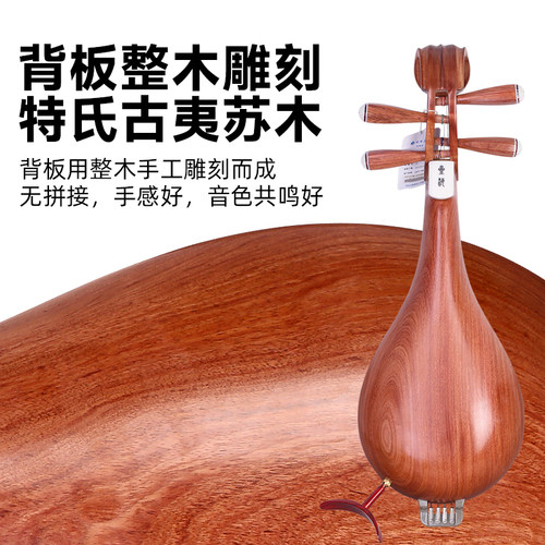 北京星海柳琴8413特氏古夷苏木柳琴带支架专业演奏考级微调土琵琶 - 图3