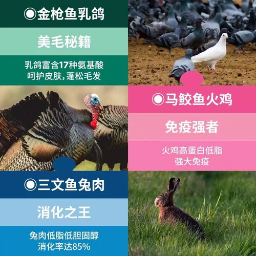 蓝氏全价主食餐包蒸鲜猫饭鲜鸽肉兔肉火鸡肉湿粮补水代餐高鲜肉罐 - 图2
