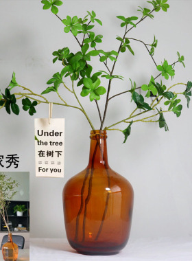 马醉木玻璃吊钟桌面摆件落地花瓶
