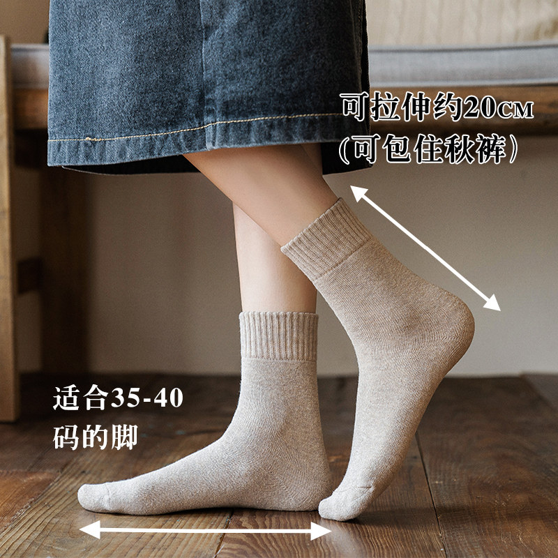 秋冬季加绒冬天毛巾中筒羊毛圈棉袜 加兹尼短袜/打底袜/丝袜/美腿袜