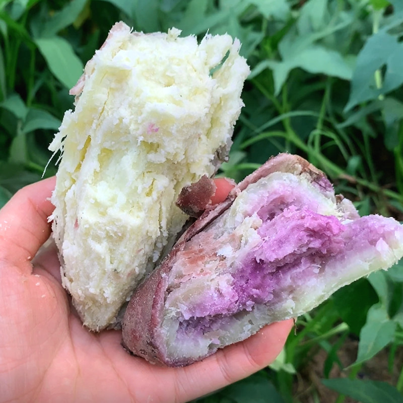 网红冰淇淋一点红新鲜爆皮王番薯 享康食品番薯