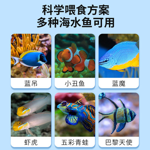 美彩海水鱼大蒜绿藻增色饲料缓沉性小颗粒小丑鱼黄金蓝吊主食鱼粮 - 图2
