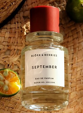 Biork and Berries比约克浆果香水白桦之林ROS成韩彬同款协同试香