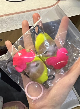 香蕉猫happy猫苹果猫牛油果猫大便猫可爱搞笑钥匙挂件背包挂件