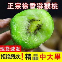 When it was supposed to be a fresh flagship store (bad fruit bag lost) Shaanxi Xu Heung Green Heart Exotic Fruit Single Fruit 60-130g