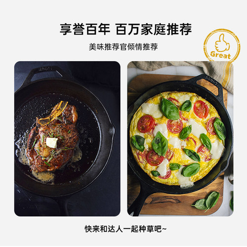 Lodge洛极美国进口无涂层铸铁煎炒锅 底部雄鹰花纹26cm L8SK3TDHH - 图2