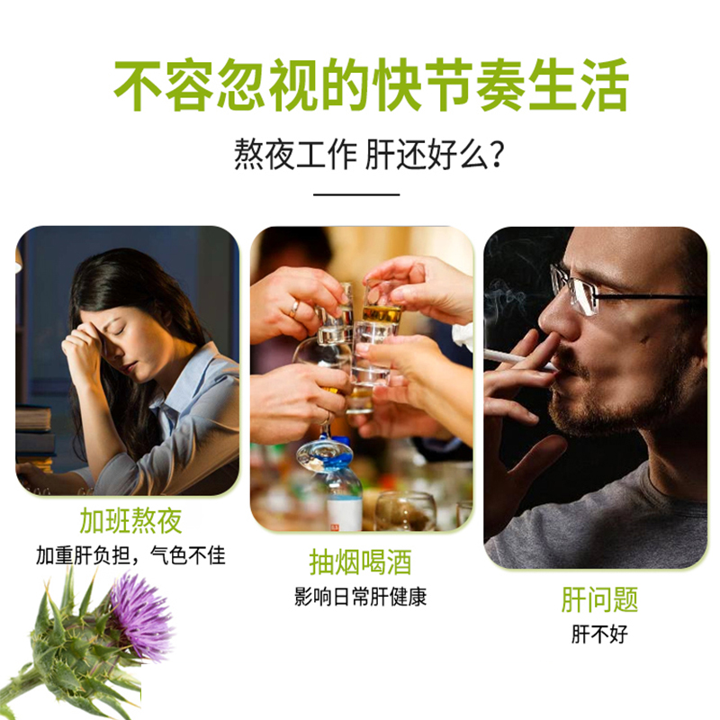 Swisse斯维诗肝护片加强版奶蓟草60粒14倍高浓度水飞蓟姜黄净肝片 - 图0