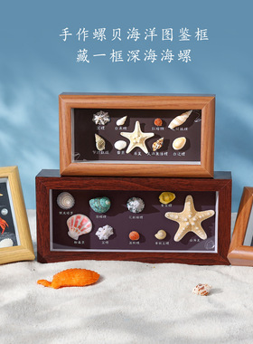 海边手工diy相框天然贝壳