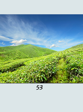 怡家画坊茶馆梯田是田园风景壁画