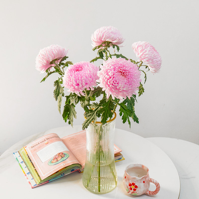 青花瓷牡丹菊粉色牡丹菊鲜花云南基地直发水养瓶插花吸色,淘宝优惠券,粉丝福利购,淘宝优惠卷