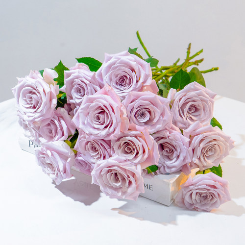 红玫瑰花鲜切花鲜花云南基地直发向日葵百合花鲜花康乃馨水养花束 - 图3