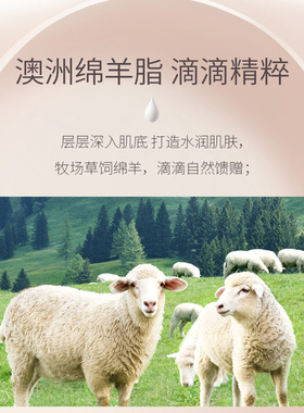 奥兰诺绵羊油面霜身体乳护手霜